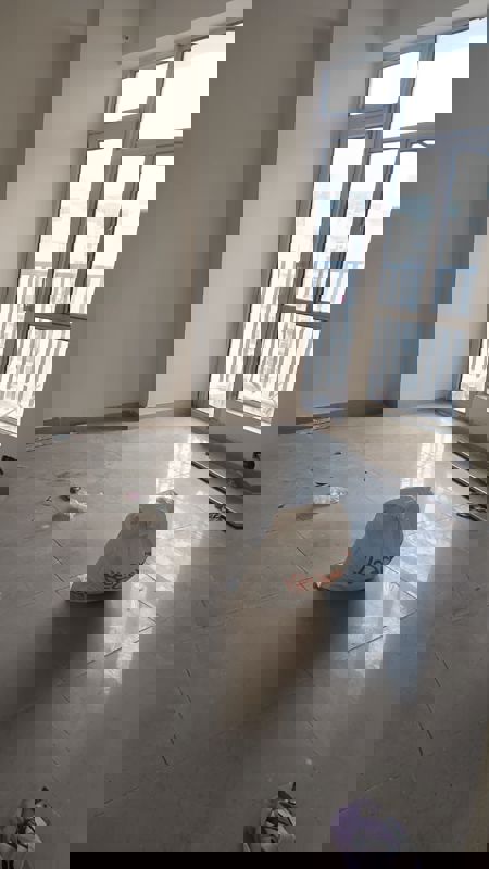 3 BHK 1545 Sq.Ft. Apartment in Spectrum@Metro