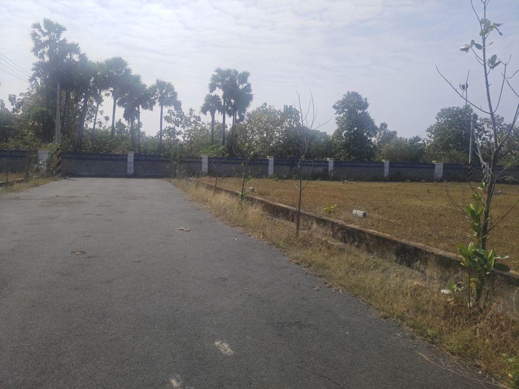 Plot For Sale in Chelluru