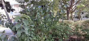 Master Plan in 4 BHK Villa at Rajapushpa Green Dale, Tellapur – for Rent