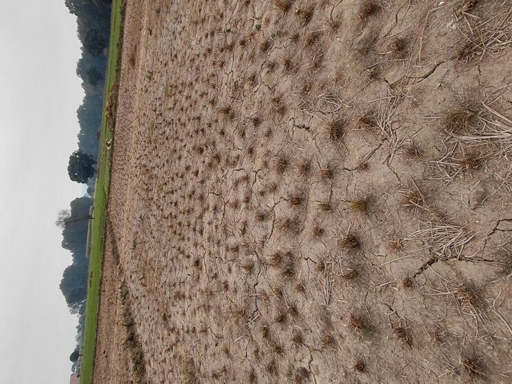 Exterior View, raipur  120 Sq.Yd. Plot In Raipur Dehradun 9812984