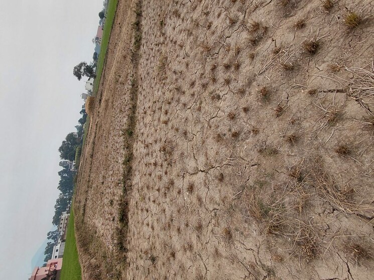 Exterior View, raipur  120 Sq.Yd. Plot In Raipur Dehradun 9812984