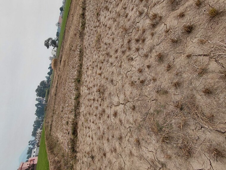 Exterior View, raipur  120 Sq.Yd. Plot In Raipur Dehradun 9812984