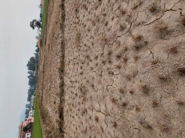  Plot – Exterior View View at Raipur - for Sale