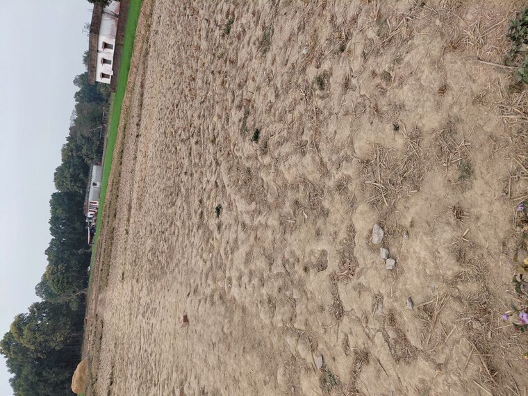 Exterior View, raipur  120 Sq.Yd. Plot In Raipur Dehradun 9812984