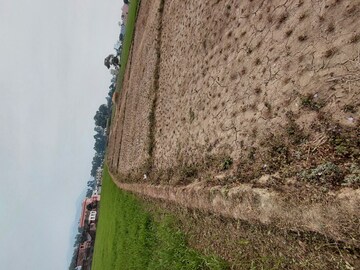  Plot – Garden View at Raipur - for Sale