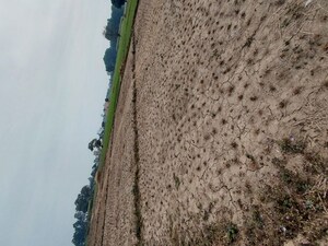  Plot For Sale in Raipur