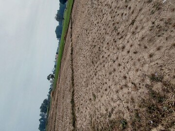  Plot For Sale in Raipur