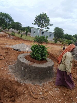 Plot Area in  Plot at Sunrise Golden Galaxy, Shadnagar – for Sale