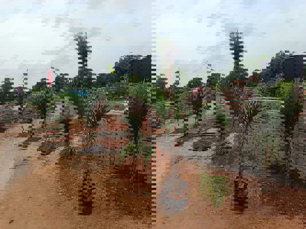 Plot For Sale in Sunrise Golden Galaxy