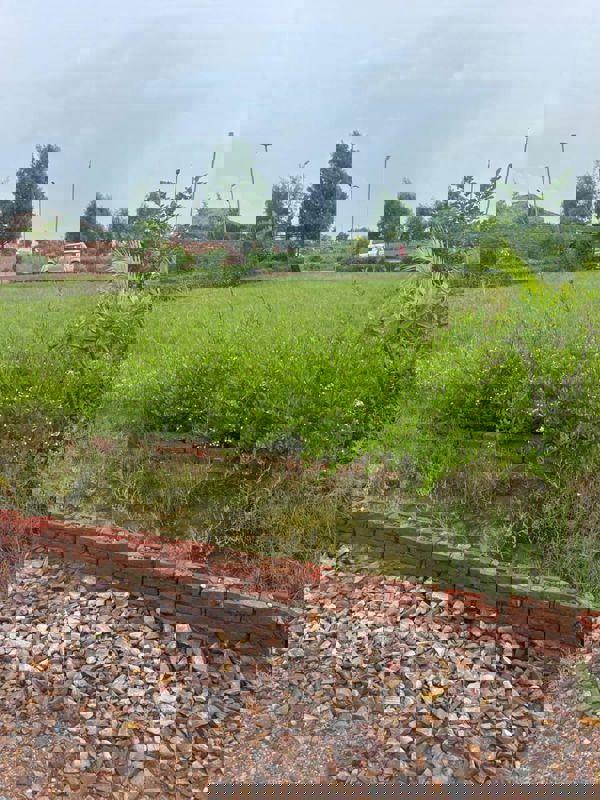 Plot For Sale in Barsana