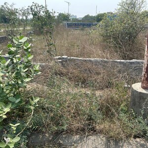 Plot Area in  Plot at TDI City Kundli, Sector 61 – for Sale