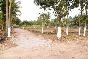 Plot Area in  Plot at Shyamnagar – for Sale