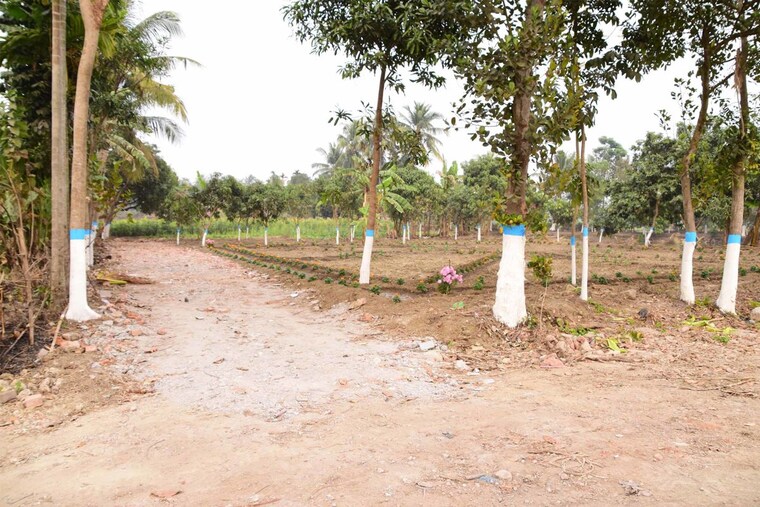 undefined, shyamnagar  1800 Sq.Ft. Plot In Shyamnagar Kolkata 9765720