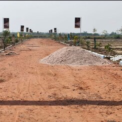 Plot For Sale in NH 19