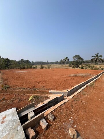 Plot Area in  Plot at Pirayari – for Sale