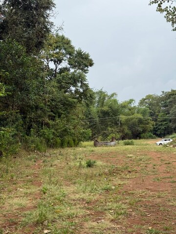 Plot Area in  Plot at Olavakkode – for Sale