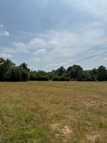  Plot For Sale in Olavakkode