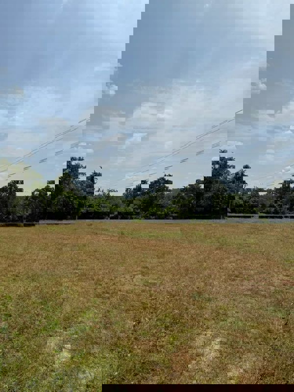 Plot For Sale in Olavakkode