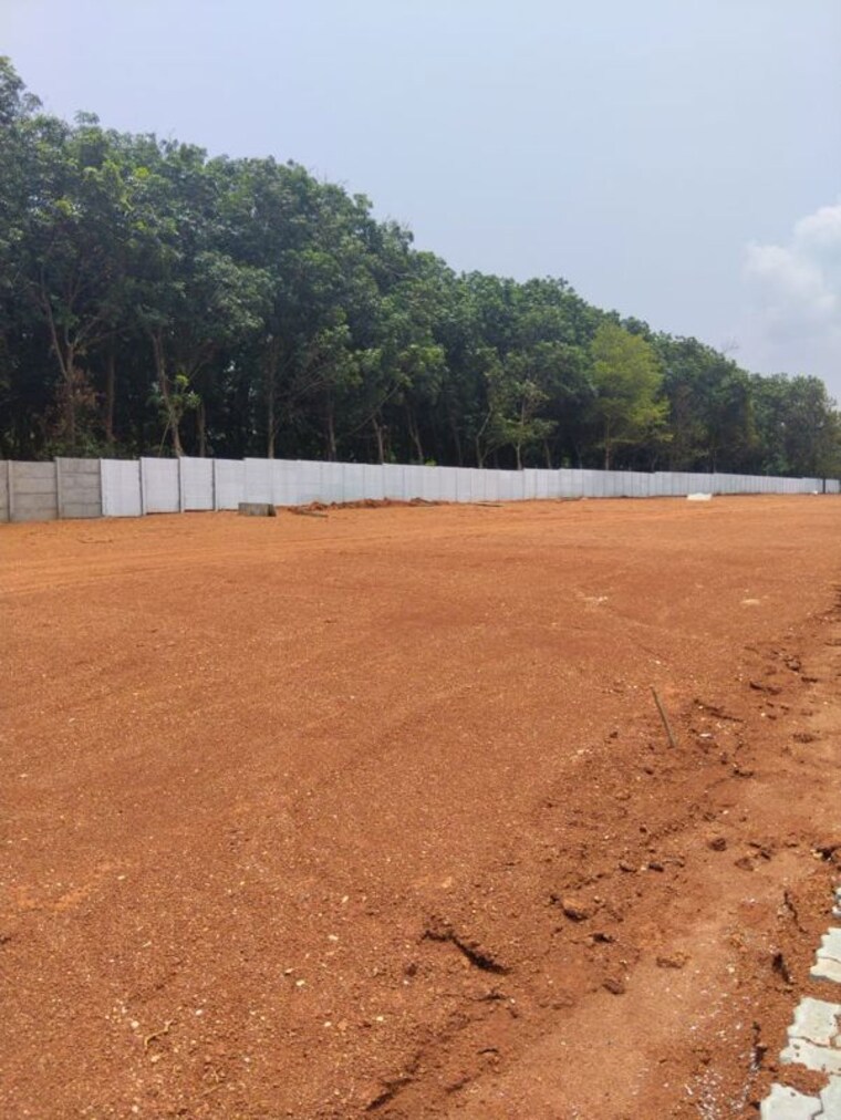 undefined, pirayari  872 Sq.Yd. Plot In Pirayari Palakkad 9813388