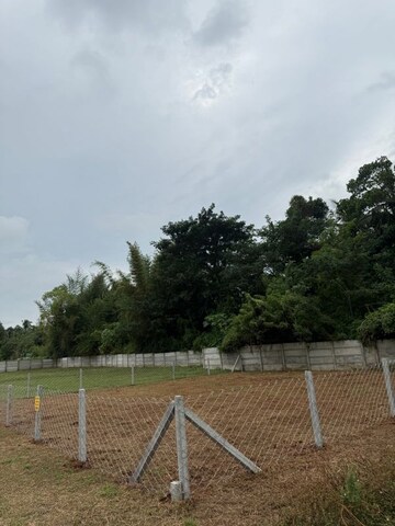  Plot For Sale in Olavakkode