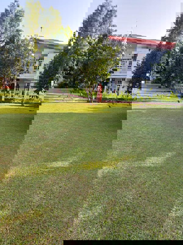 5 BHK + Study Room Villa For Rent in Sainik Farm