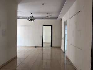 3.5 BHK Apartment For Rent in Gaur Sportswood, Sector 79