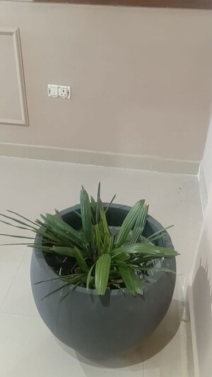 Furnished Amenities in 2 BHK Apartment at Shree Balaji Towers, Faizabad Road – for Sale