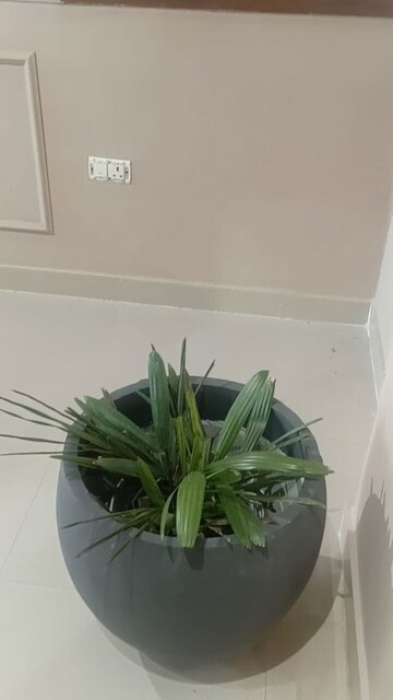 Furnished Amenities in 2 BHK Apartment at Shree Balaji Towers, Faizabad Road – for Sale