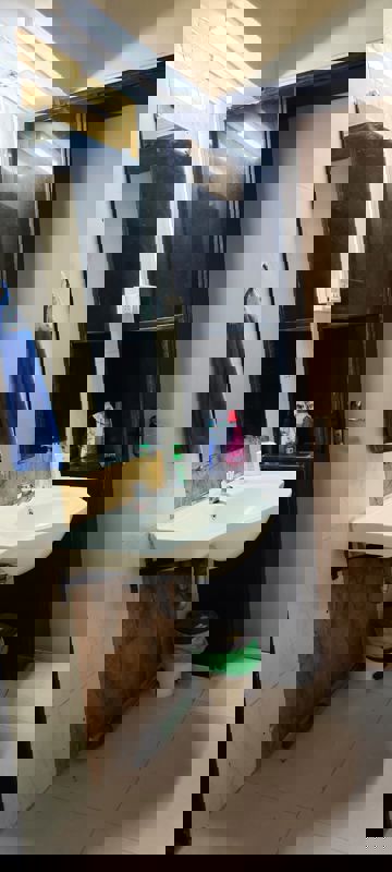 2 BHK Apartment For Rent in Magarpatta Sylvania