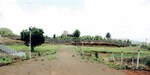329 Sq.Yd. Plot in Khambale