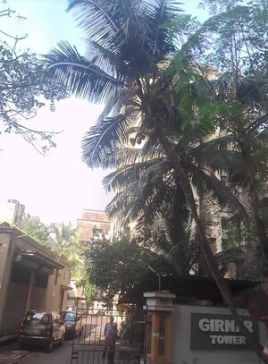 2 BHK Apartment For Rent in Girnar Tower Parel, Parel