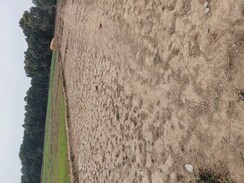 Plot For Sale in Raipur