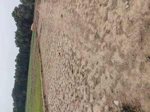  Plot For Sale in Raipur