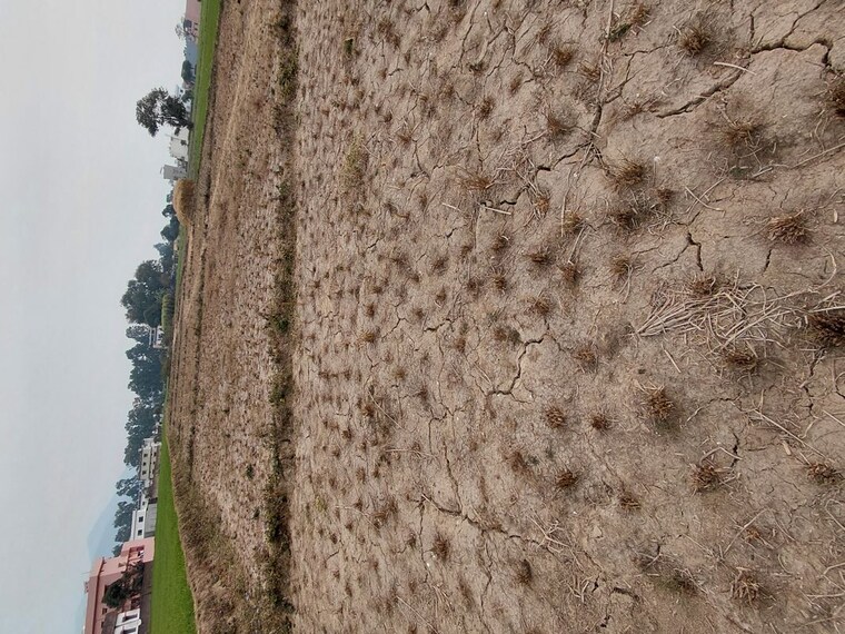 Exterior View, raipur  150 Sq.Yd. Plot In Raipur Dehradun 9813623