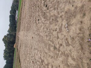 Plot Area in  Plot at Raipur – for Sale