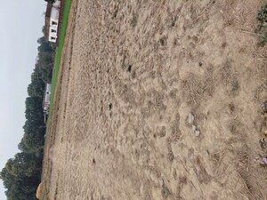  Plot – Exterior View View at Raipur - for Sale