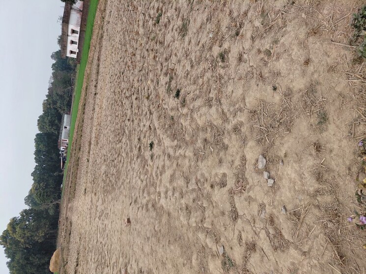 Exterior View, raipur  150 Sq.Yd. Plot In Raipur Dehradun 9813623