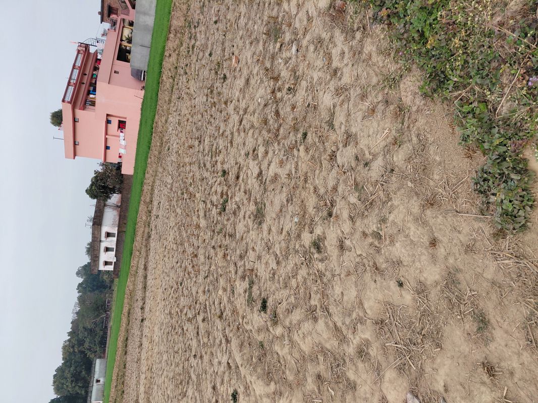 Plot For Sale in Raipur
