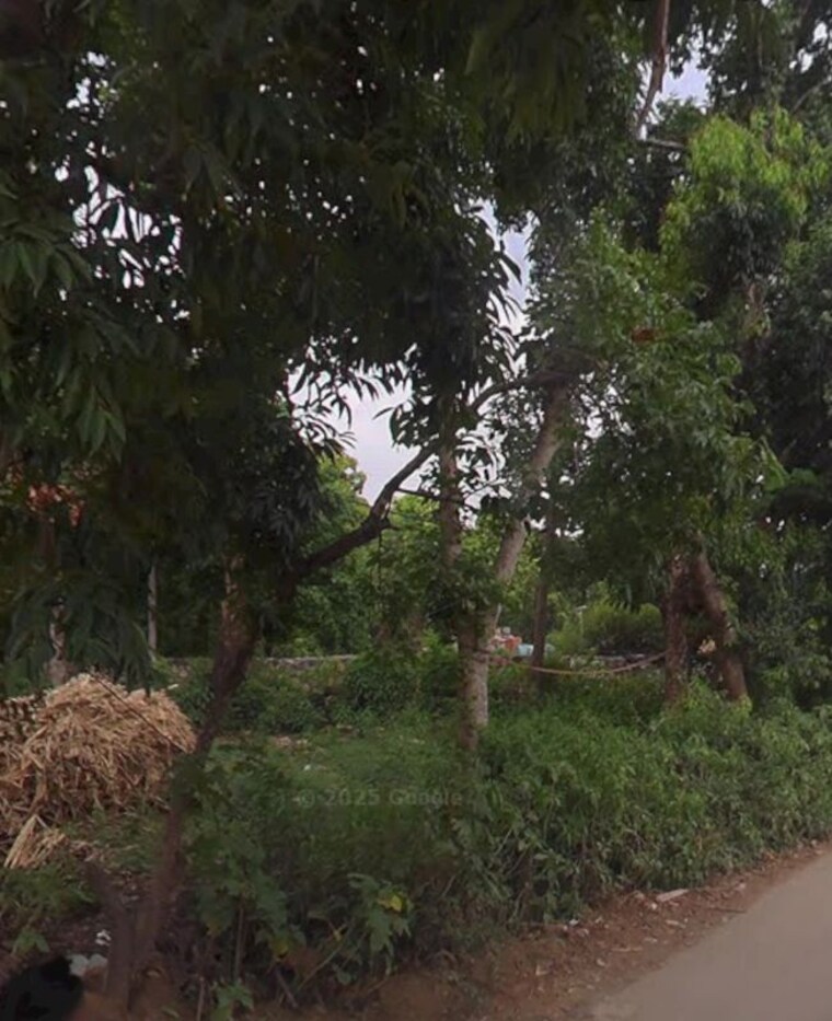 undefined, jakhan  258 Sq.Yd. Plot In Jakhan Dehradun 9804488