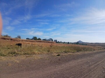 Plot Area in  Industrial Plot at Peth Road – for Sale