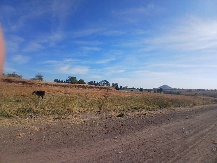 undefined, peth road Commercial Industrial Plot 391 Sq.Yd. In Peth Road Nashik 9807994