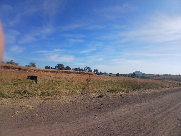 undefined, peth road Commercial Industrial Plot 391 Sq.Yd. In Peth Road Nashik 9807994
