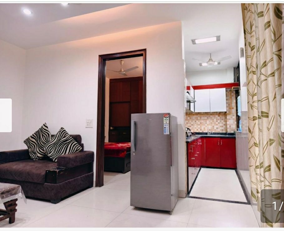 2.5 BHK + Study Room Builder Floor For Rent in Bali Nagar