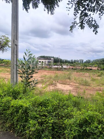  Plot – Exterior View View at Kothavalasa - for Sale