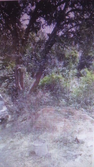  Plot For Sale in Bileshivale