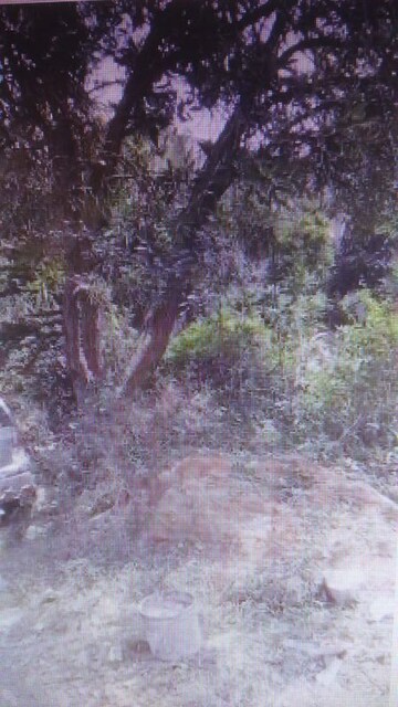  Plot For Sale in Bileshivale