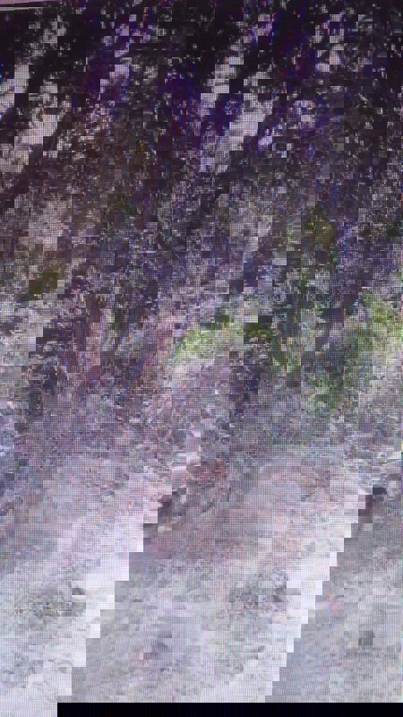 Plot For Sale in Bileshivale