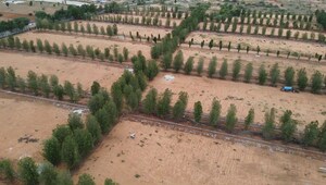 Plot Area in  Plot at Gauribidanur – for Sale