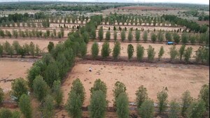 Plot Area in  Plot at Gauribidanur – for Sale