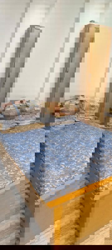 2 BHK Apartment For Rent in Kumar Harshvardhan CHS